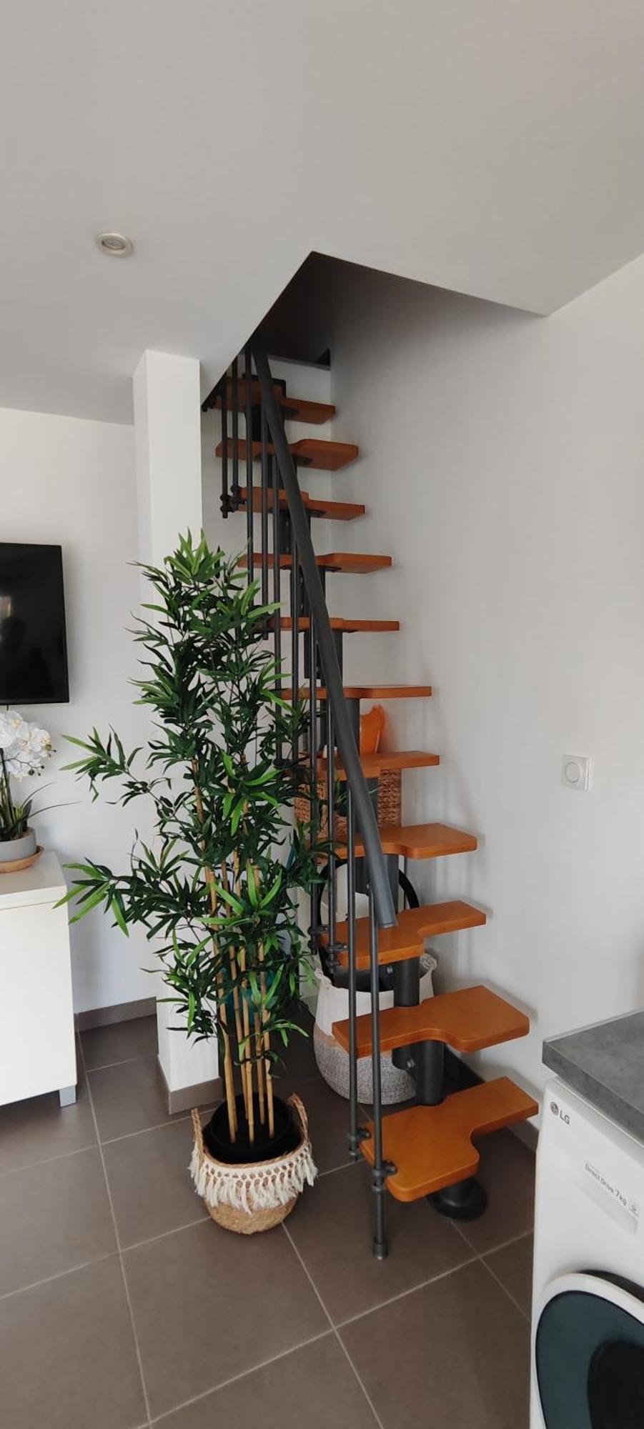 Bobo Chic Paradise Apartment